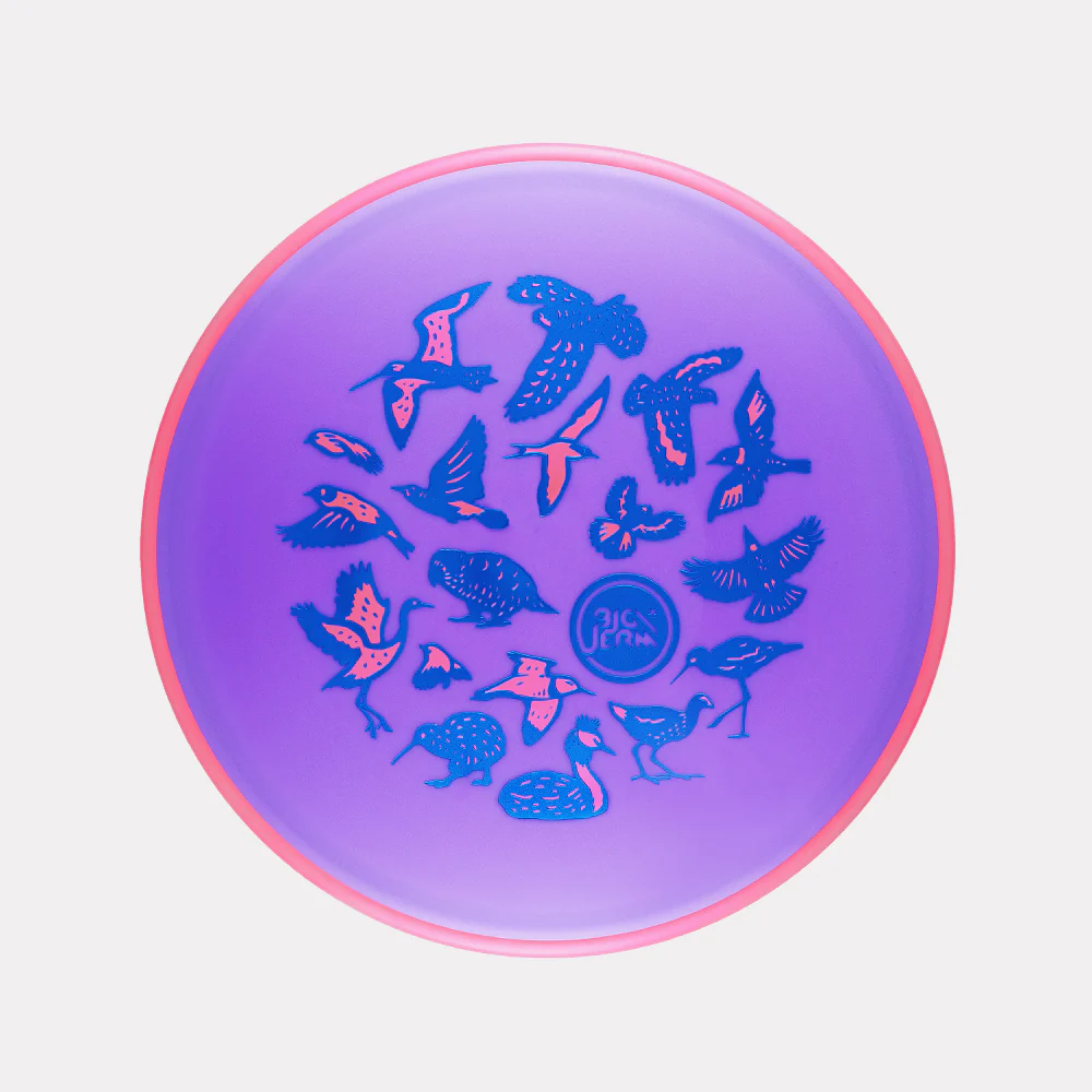 Neutron Tempo - Jeremy Koling Birds of New Zealand - Image 2